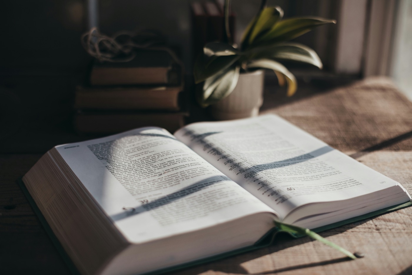 Dead to Sin and Alive to Christ